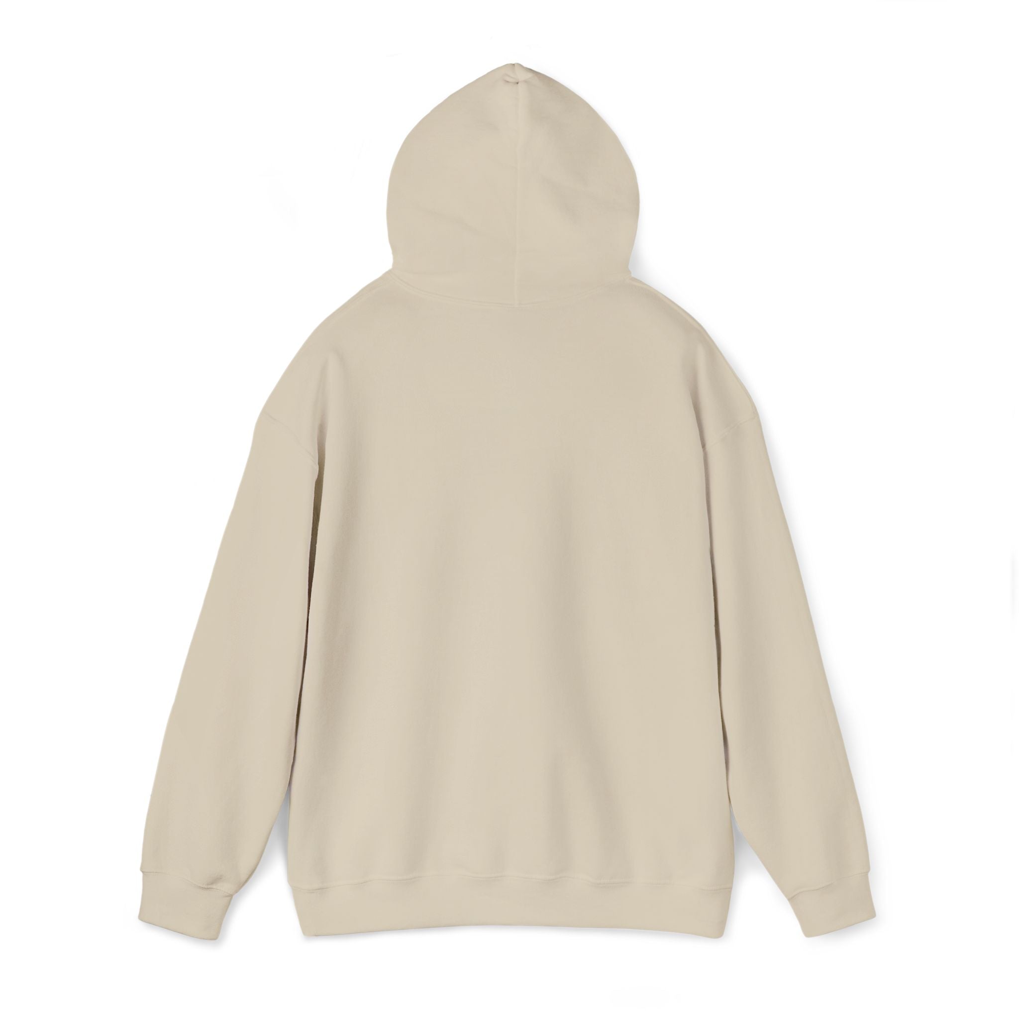 HOODIE *FOCUS* simple