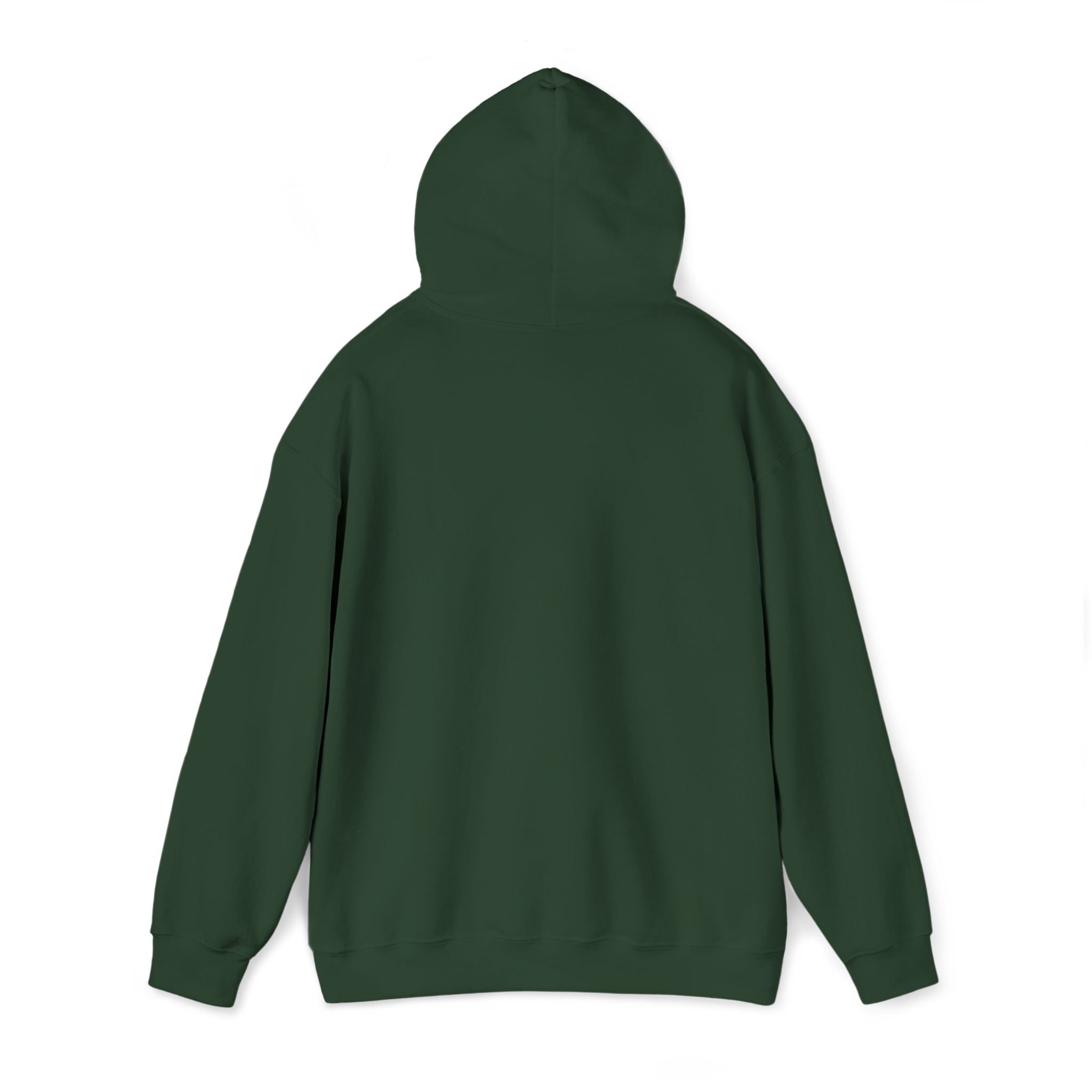 HOODIE *FOCUS* simple